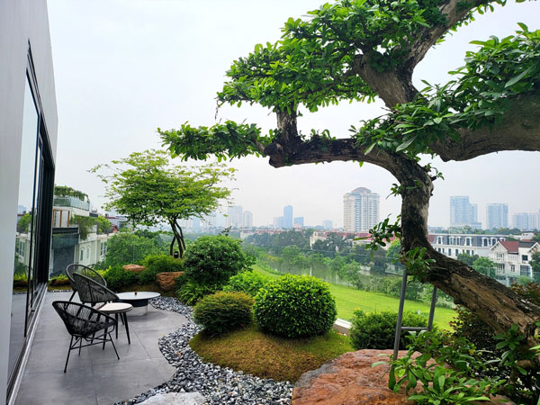 Dịch vụ thiết kế thi công cảnh quan chuyên nghiệp