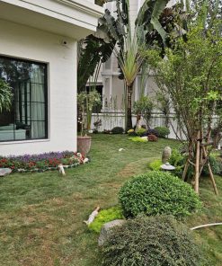 Đơn vị thiết kế thi công bảo dưỡng cảnh quan đẹp