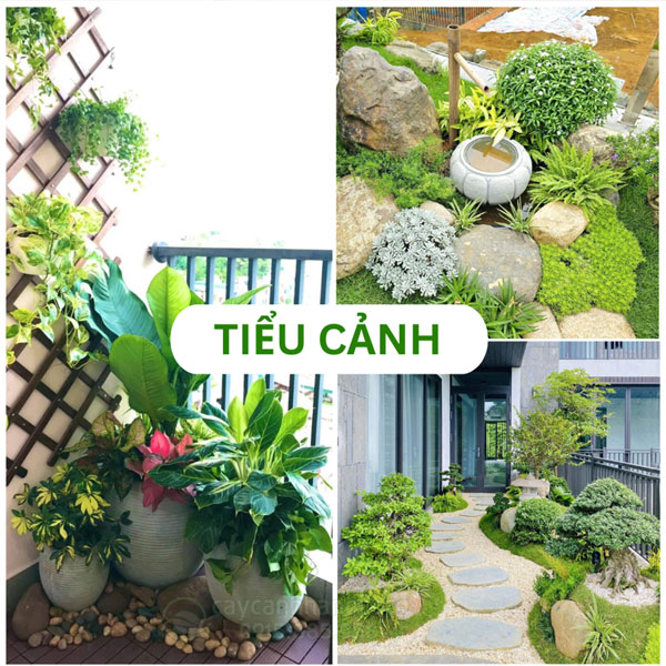 Top 20+ mẫu tiểu cảnh đẹp được ưa chuộng hiện nay