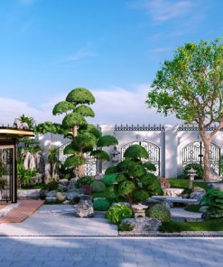 Thiết kế thi công cảnh quan sân vườn biệt thự