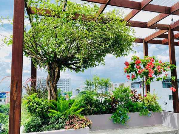 Thiết kế thi công cảnh quan sân vườn