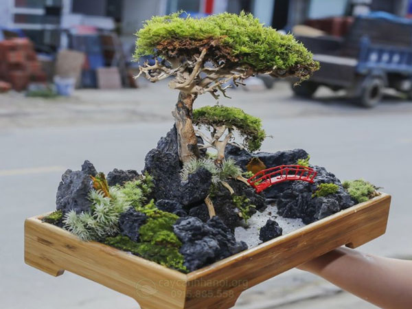 tieu-canh-bonsai-mini Tiểu cảnh bonsai mini đẹp