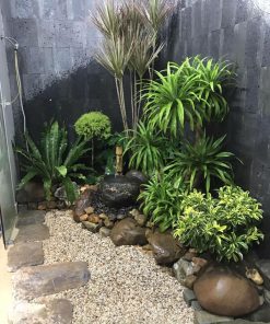 Tiểu cảnh dưới giếng trời đẹp