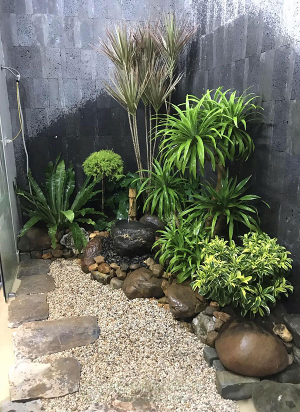 Tiểu cảnh dưới giếng trời đẹp