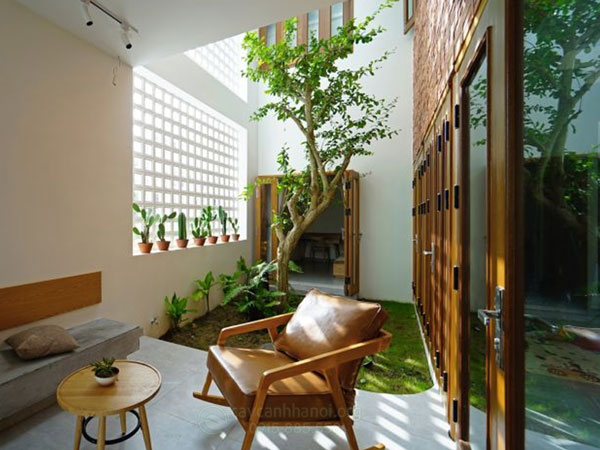 tieu-canh-gieng-troi Tiểu cảnh giếng trời đơn giản