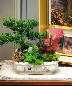 Tiểu cảnh mini để bàn đẹp