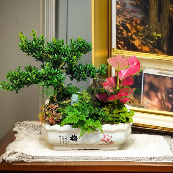 Tiểu cảnh mini để bàn đẹp