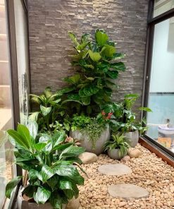 Tiểu cảnh sân vườn nhà ống