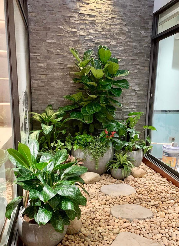 Tiểu cảnh sân vườn nhà ống