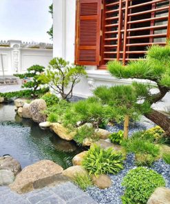 Tiểu cảnh sân vườn biệt thự với hồ nước tiểu cảnh, suối nhân tạo