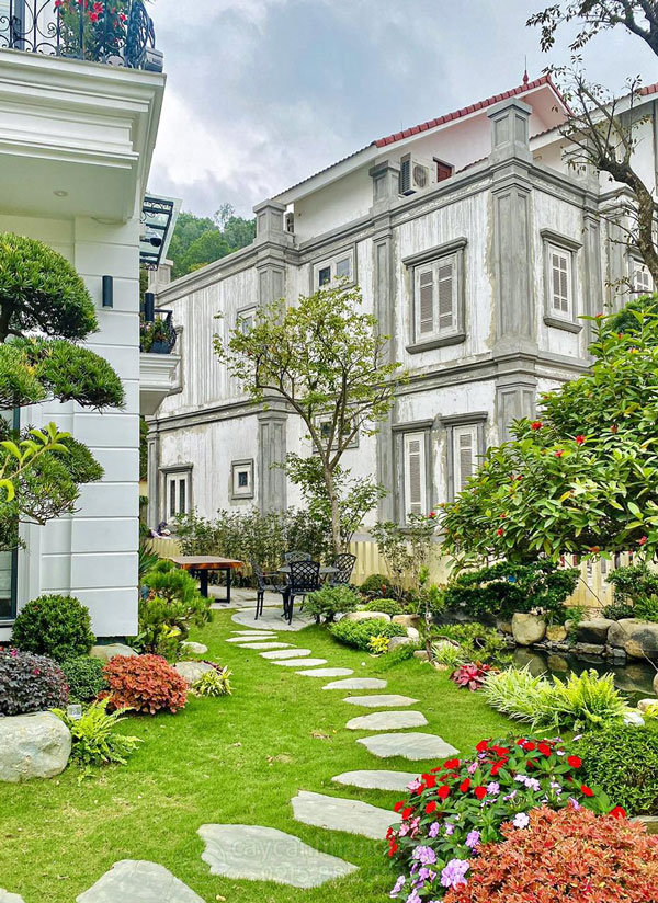 Tiểu cảnh sân vườn giúp điều không khí