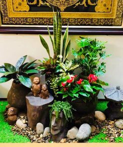 Tiểu cảnh trang trí sân vườn đẹp