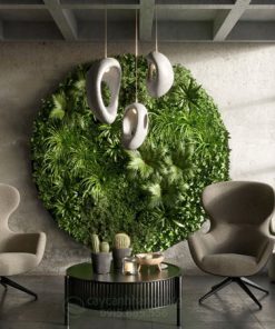 Tiểu cảnh tường cây trồng trang trí phòng khách