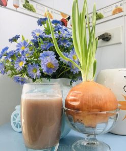 Cách trồng cây hành tây trong nước không bị thối rễ