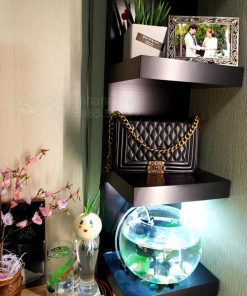 Củ hành tây trồng thủy canh trưng phòng ngủ