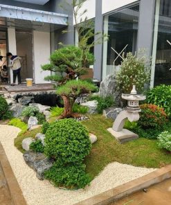 Dịch vụ thiết kế thi công sân vườn chuyên nghiệp