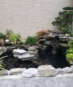 Dịch vụ trồng cây sân vườn đẹp