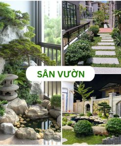 Mẫu sân vườn đẹp