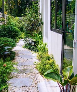 Những mẫu tiểu cảnh sân vươn lối đi đẹp