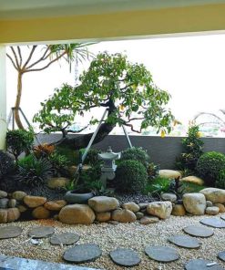 Quy trình thiết kế thi công sân vườn