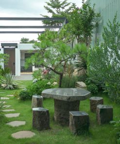 Sân vườn nông thôn với lối đi đá và cây xanh