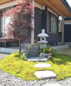 Sân vườn nhà cấp 4 đẹp với cây xanh và hoa trang trí