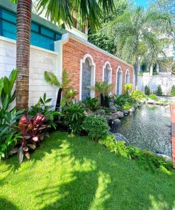 Sân vườn phong cách nhiệt đới với cây lá lớn