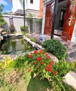 Sân vườn mini với bể cá và cây cảnh trang trí nhỏ xinh