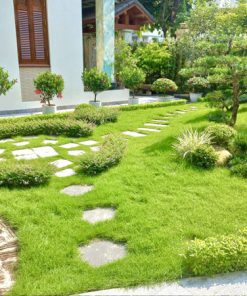 Sân vườn nhà quê với cây xanh và đồi cỏ đẹp