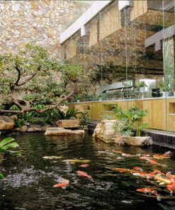 Quán cà phê sân vườn đẹp với tiểu cảnh và bể cá