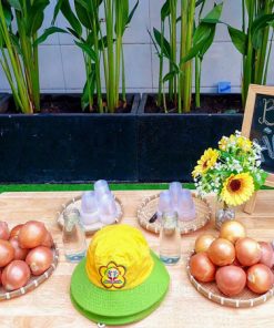 Trải nghiệm cho bé trồng hành tây trong nước