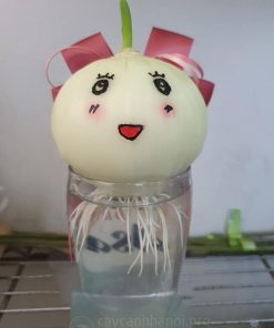 Trồng hành tây trong nước mang đến phong thủy tốt