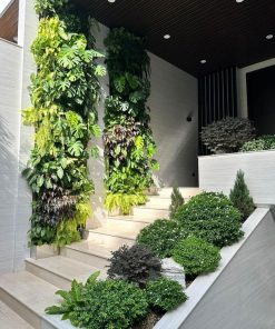 Tường cây xanh đứng kết hợp đèn led trang trí sân vườn.