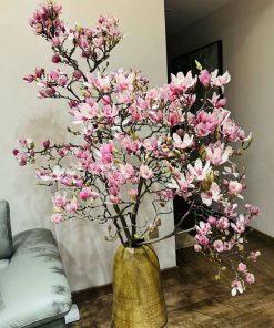 Bình hoa mộc lan vip trưng phòng khách