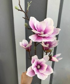 Cành hoa mộc lan giả