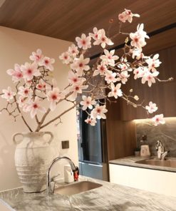 Cửa hàng bán cành mộc lan cắm bình đẹp