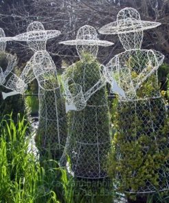 Hướng dẫn cách trồng và chăm sóc cây Topiary