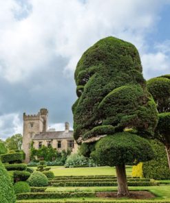 Khu vườn Topiary Levens Hall – Anh