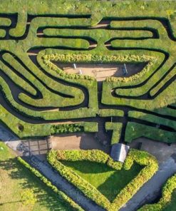 Mê cung Hampton Court – Anh