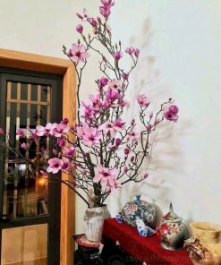 Mua cành hoa mộc lan đẹp giá tốt tại Hà Nội