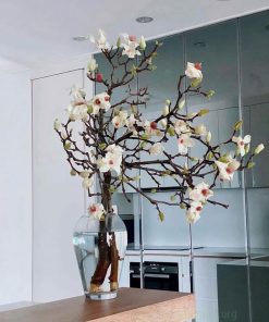 Ứng dụng cành hoa mộc lan