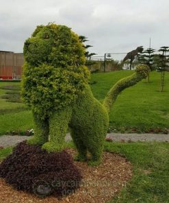 Ứng dụng nghệ thuật cắt tỉa cây topiary trong đời sống thực tế