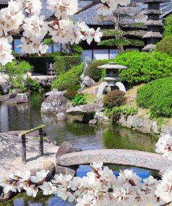 Vườn Koishikawa Korakuen Nhật Bản