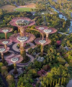 Vườn bách thảo Singapore (Gardens by the Bay)