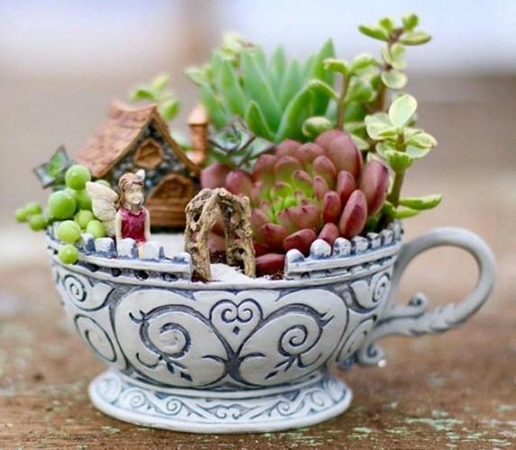 Chậu tiểu cảnh để bàn