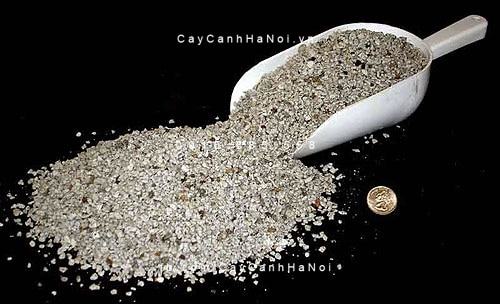 Đá bọt Pumice