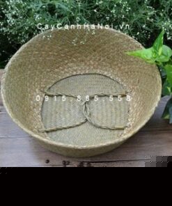 Giỏ Cói Trồng Cây