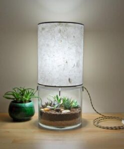 Tiểu cảnh mini chậu thủy tinh