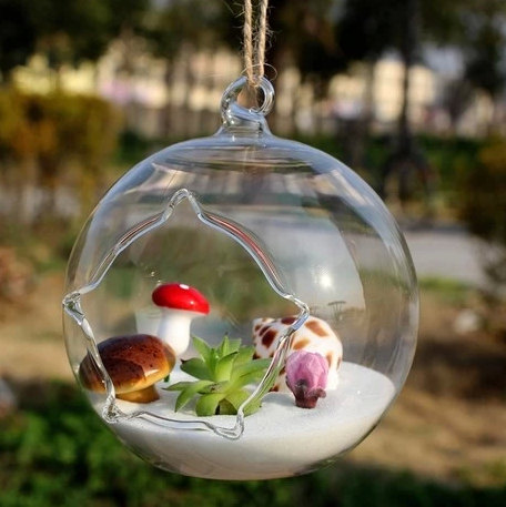Bình thủy tinh trồng tiểu cảnh