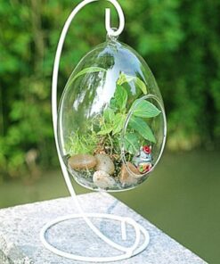 Tiểu cảnh thủy tinh treo